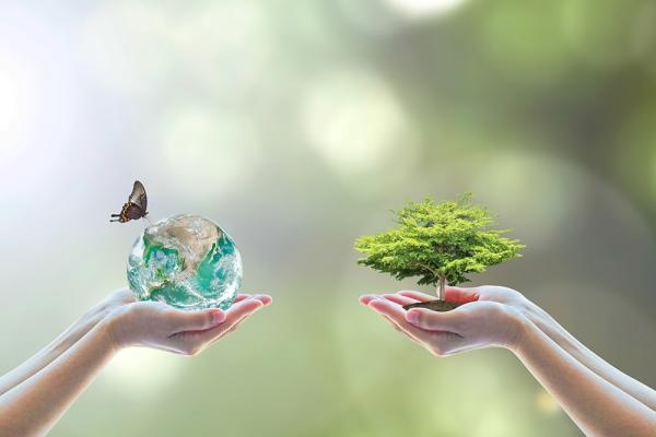 Managing social and environmental responsibilities