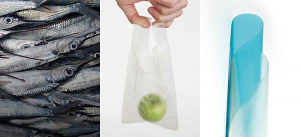 MarinaTex is a compostable plastic based on fish skin and scales