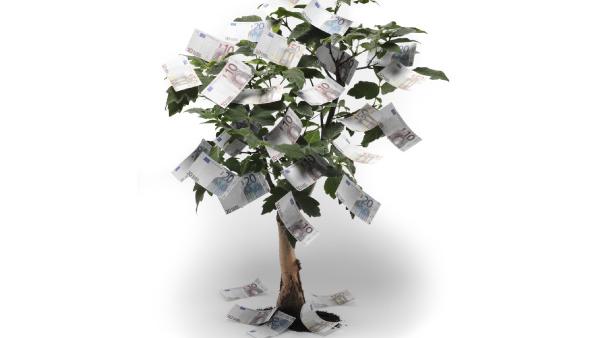 0-MAIN-Catdealers-ease-the-credit-squeeze.jpg