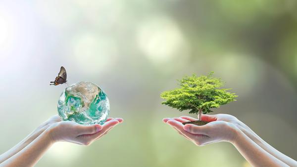 Managing social and environmental responsibilities